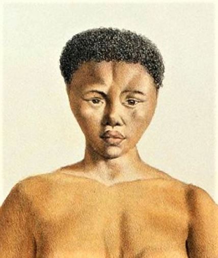 saartjie-baartman-portrait.jpg