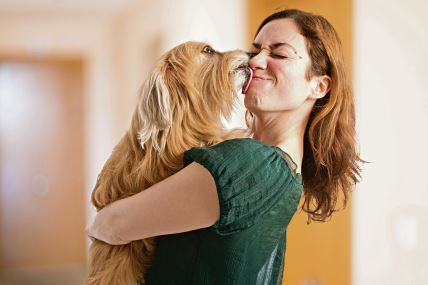 lize-vas-po-licu-stockphotodogkissingherownerinsidehouse295906826.jpg