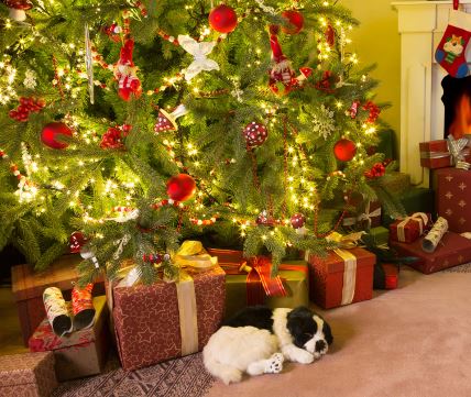 ne-dozvolite-im-da-pridju-blizu--stockphotocolorfulpresentsandadogunderthechristmastree156069344.jpg