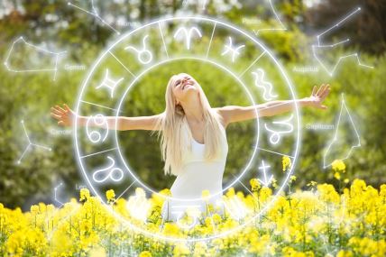 shutterstock-2146570531.jpg