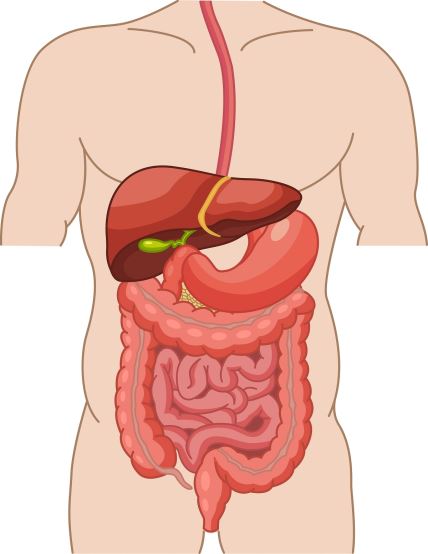 shutterstock-2413994773.jpg