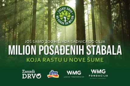 posadjena-stabla.jpg