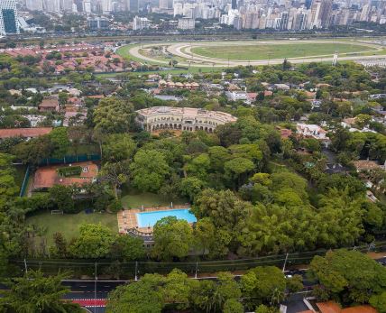 1331pxwebysther-20211019160011--manso-safra.jpg