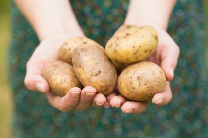 krompir-thinkstock.jpg