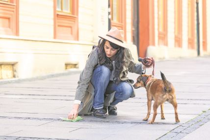 stockphotoyoungwomancleaningdogsexcrementonstreetpetownerpicksupdogspoopcleaningupmess1752369383.jpg