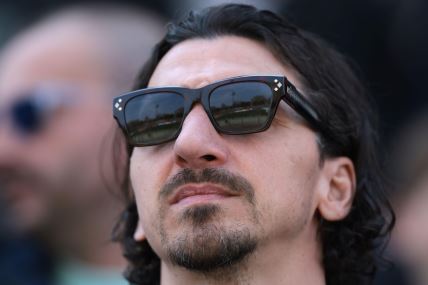 Zlatan Ibrahimovic (2).jpg