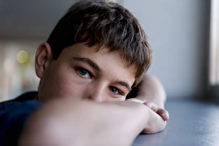 shutterstock_333625520.jpg