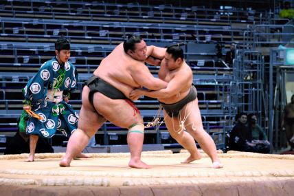 GLAVNA  stock-photo-tokyo-november-senior-sumo-wrestler-fighting-a-smaller-opponent-in-the-fukuoka-tournament-on-66952861.jpg