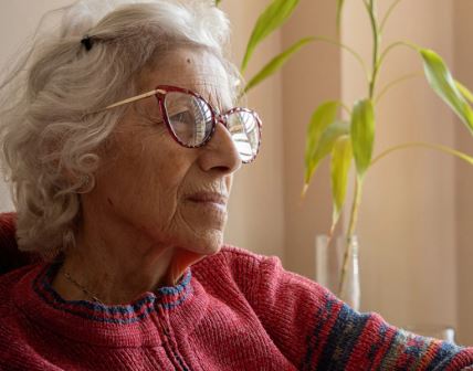 2025-11-05 09_51_38-STARA UČITELJICA JE GLEDALA TELEVIZIJU I ZANEMELA_ Na ekranu je ugledalao poznat.png