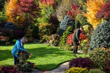 najlepše-dvorište (3).jpg