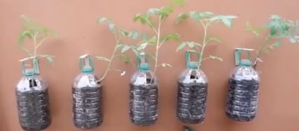 2026-03-20 13_17_48-Window.jpg