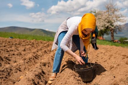 arapske-baste (4).jpg