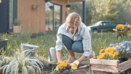 GLAVNA  stock-photo-beautiful-caucasian-woman-wearing-gloves-while-working-outdoors-young-female-with-small-shovel-2652168585.jpg