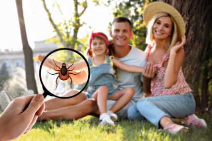GLAVNA  stock-photo-family-sitting-near-tree-outdoors-and-don-t-even-suspect-about-hidden-danger-in-green-grass-woman-2317921909.jpg