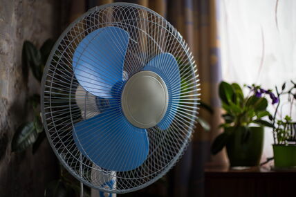 shutterstock_1463237603.jpg