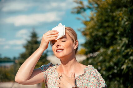 shutterstock_2165388153.jpg