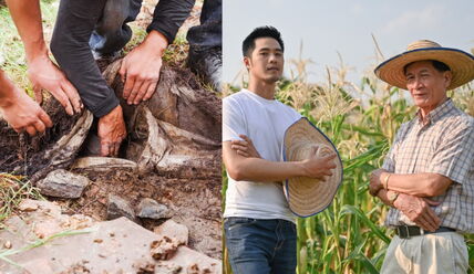 Farmeri.png