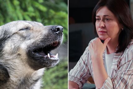 žena i vuk.jpg