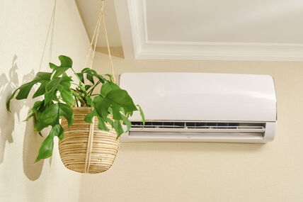 NE POSTAVLJAJTE BILJKE NA PUT HLADNOM VAZDUHU stock-photo-the-white-air-conditioner-controls-the-temperature-in-the-living-room-of-the-house-2359708913.jpg
