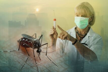 GLAVNA  stock-photo-aedes-aegypti-mosquito-with-vial-dhf-vaccine-concept-for-vaccine-anti-mosquitoes-cause-born-disease-2600468623.jpg