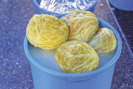 stock-photo-fermented-whole-cabbages-in-bucket-winter-food-2262473937.jpg