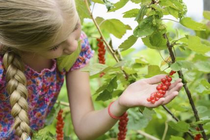 devojcica-bere-ribizle-thinkstock.jpg
