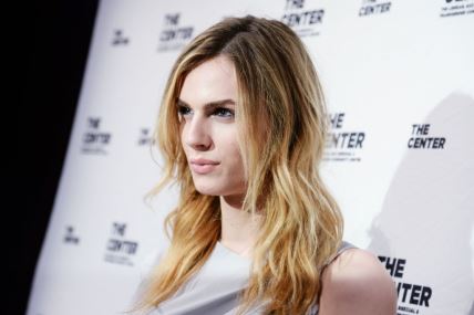 andreja-pejic.jpg