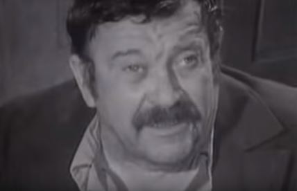 pavle-vuisic.jpg