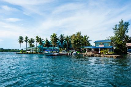 palau-profimedia.jpg