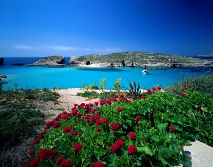 malta.jpg