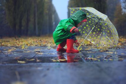 shutterstock-330307460.jpg