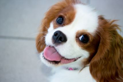 shutterstock-166365449.jpg