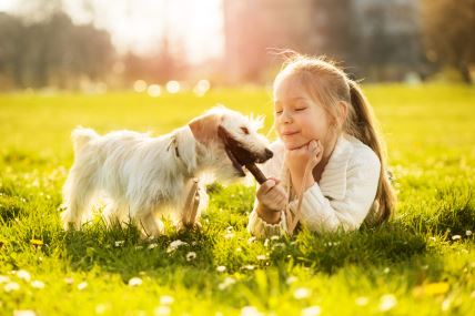 shutterstock-190140311.jpg