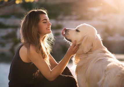 shutterstock-443728036.jpg