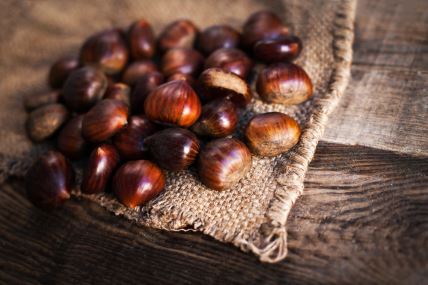 shutterstock-704213431.jpg
