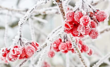 shutterstock-560862529.jpg