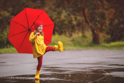 shutterstock-1193893903.jpg