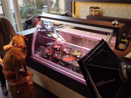 pets-deli.jpg