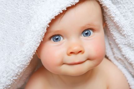shutterstock-406010761.jpg