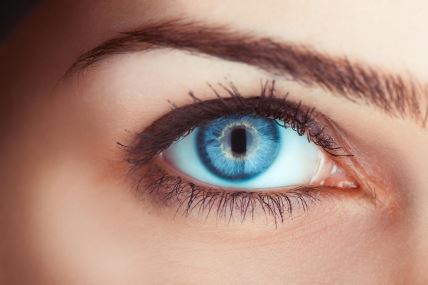 shutterstock-220550380.jpg