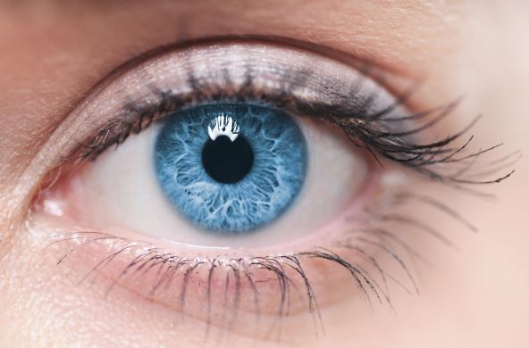 shutterstock-128857243.jpg