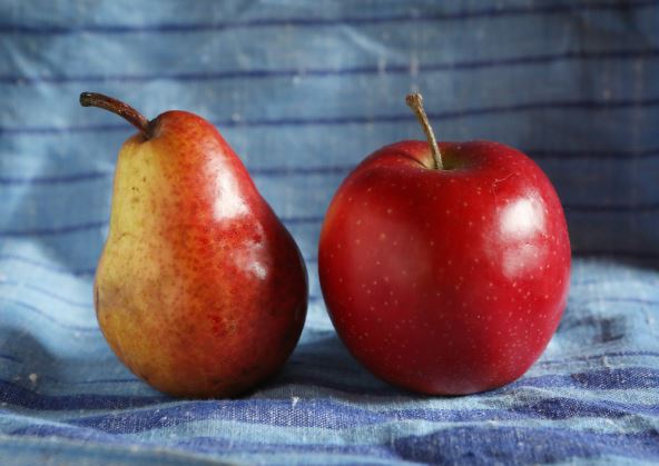 jabuka-kruska-shutter.jpg