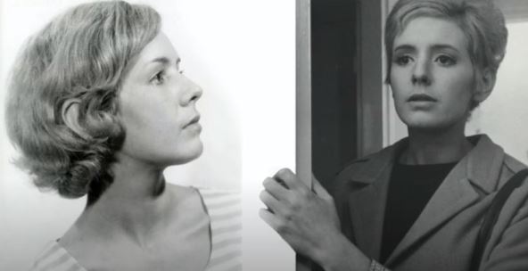 screenshot-2.jpg