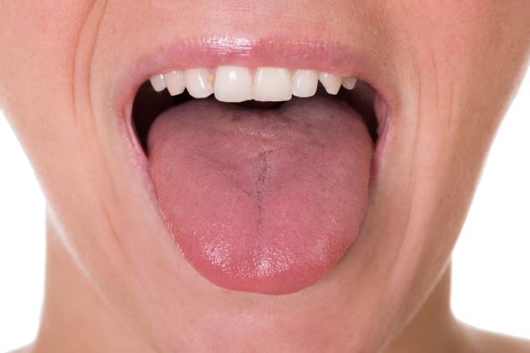 shutterstock-336266138.jpg