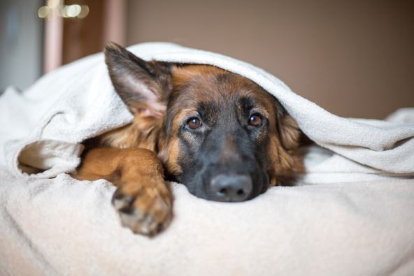 shutterstock-750258031.jpg