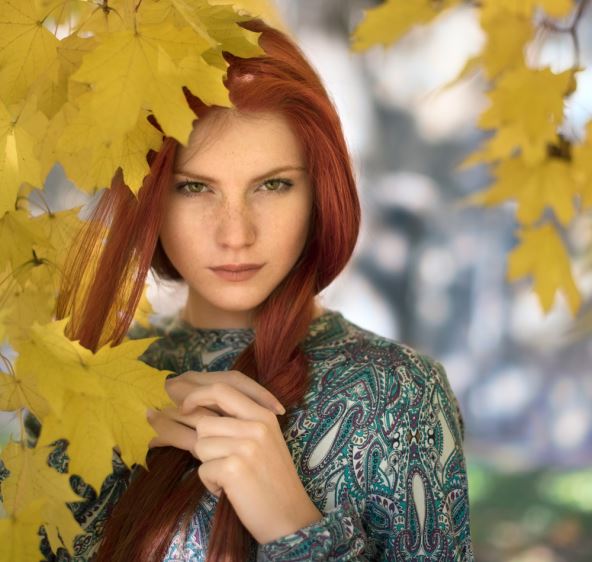 shutterstock-784150483.jpg