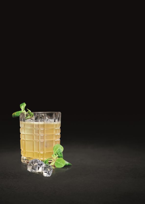 honey-casa.jpg
