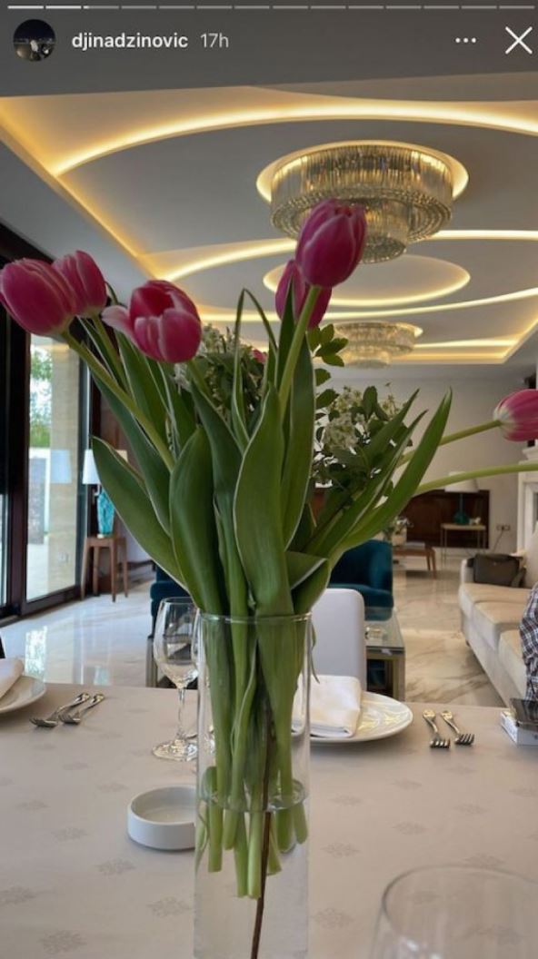85087-djinadzinovicinstagramscreenshot1-iff.jpg