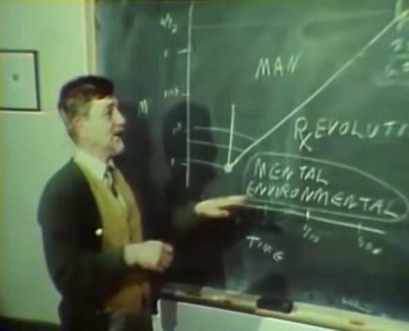 eksperimensamisevima6.jpg