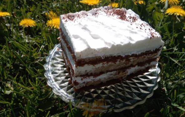 kuvanje-po-ukusu--cokomoko-torta-sa-bananicama-gotova-za-manje-od-20-minuta-l8mpfolilsu--885x664--2m58s.jpg